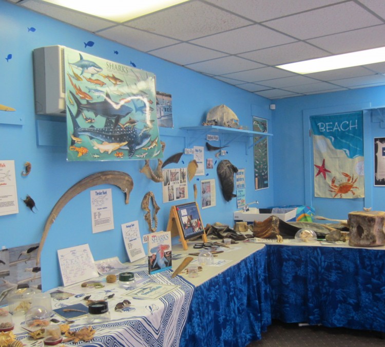 Explore the Ocean World Oceanarium (Hampton,&nbspNH)